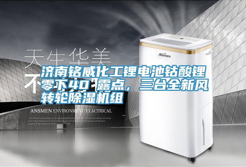 濟(jì)南銘威化工鋰電池鈷酸鋰零下40℃露點(diǎn)，三臺全新風(fēng)轉(zhuǎn)輪除濕機(jī)組