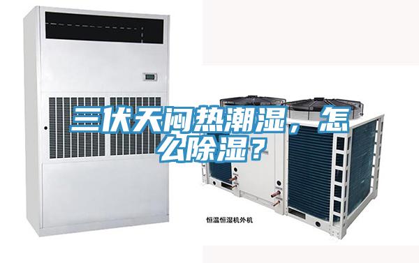 三伏天悶熱潮濕，怎么除濕？