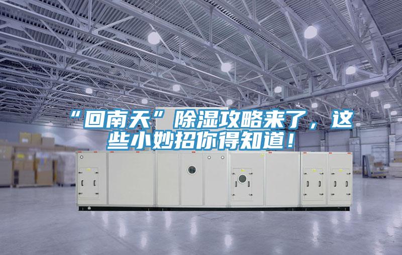 “回南天”除濕攻略來(lái)了，這些小妙招你得知道！