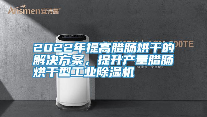 2022年提高臘腸烘干的解決方案，提升產(chǎn)量臘腸烘干型工業(yè)除濕機(jī)