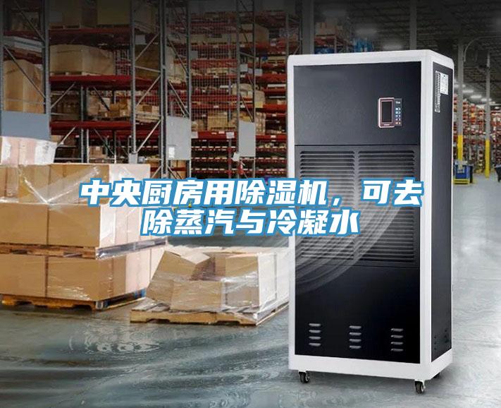 中央廚房用除濕機，可去除蒸汽與冷凝水
