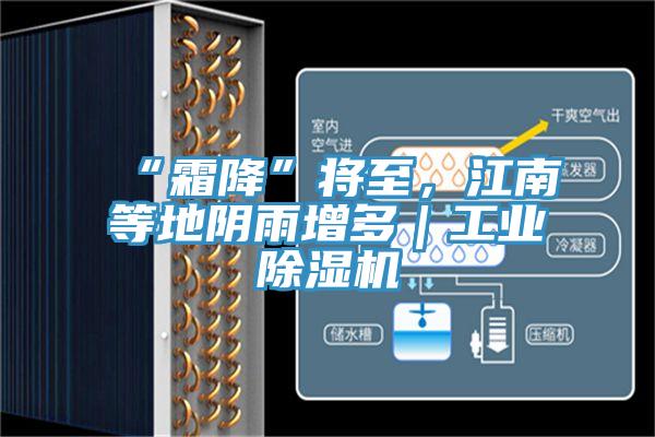 “霜降”將至，江南等地陰雨增多｜工業(yè)除濕機