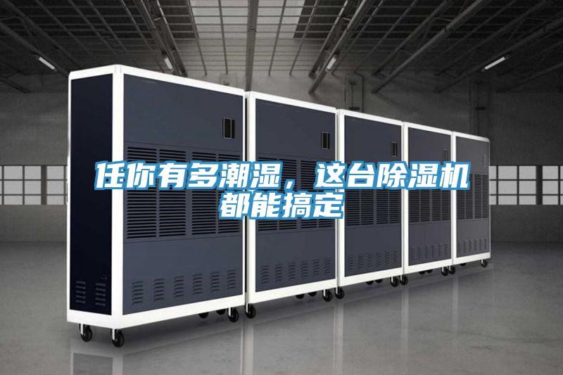 任你有多潮濕，這臺(tái)除濕機(jī)都能搞定