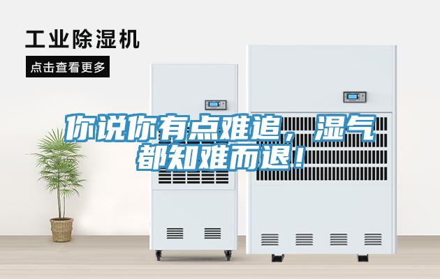 你說你有點難追，濕氣都知難而退！
