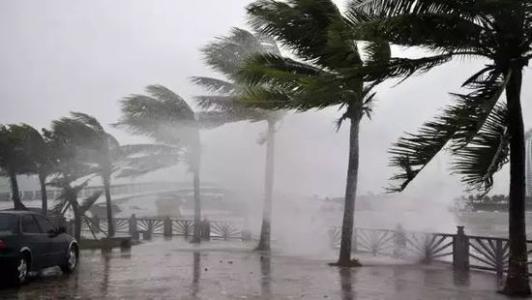 8月臺(tái)風(fēng)雨即將來，除濕機(jī)還得用起來
