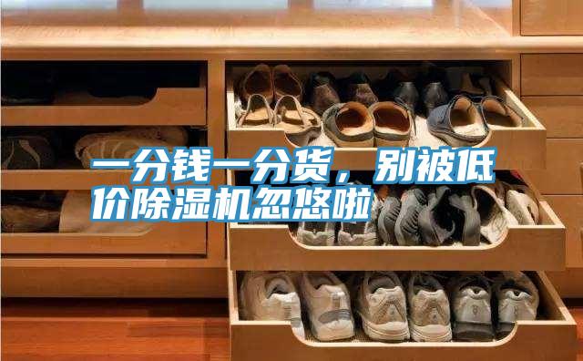 一分錢(qián)一分貨，別被低價(jià)除濕機(jī)忽悠啦