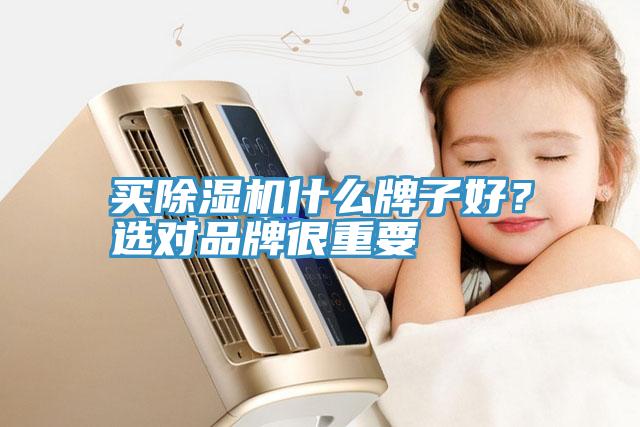 買除濕機(jī)什么牌子好？選對品牌很重要