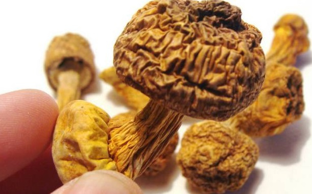 巴西菇、姬松茸烘干機(jī)-怎樣烘干色澤好且菇體褶片完整？