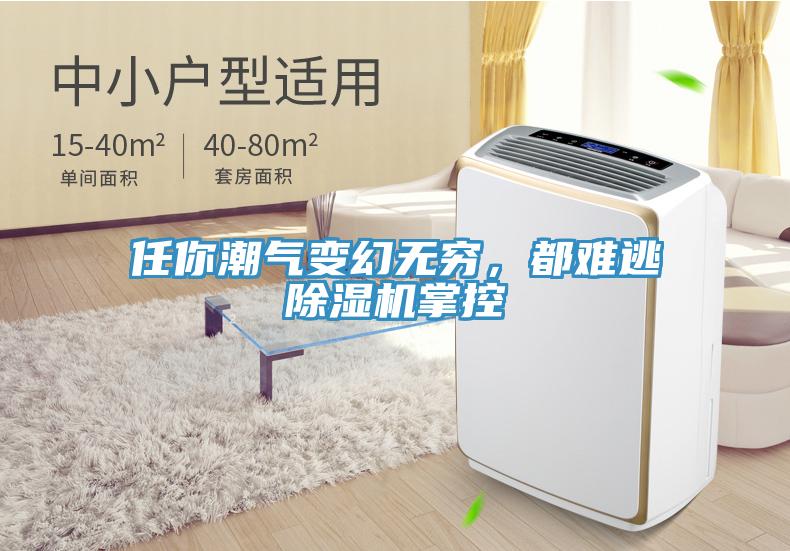 任你潮氣變幻無窮，都難逃除濕機(jī)掌控