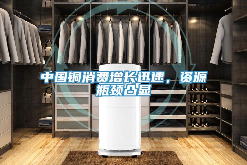 中國(guó)銅消費(fèi)增長(zhǎng)迅速，資源瓶頸凸顯