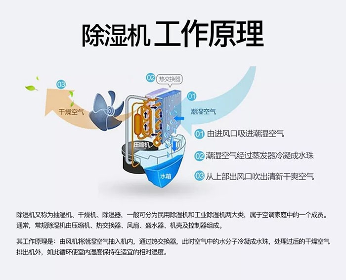 對抗梅雨天，絕不認輸！