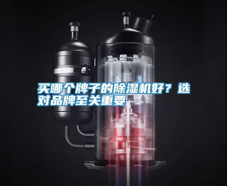 買(mǎi)哪個(gè)牌子的除濕機(jī)好？選對(duì)品牌至關(guān)重要