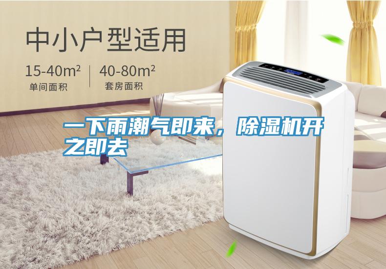一下雨潮氣即來(lái)，除濕機(jī)開(kāi)之即去