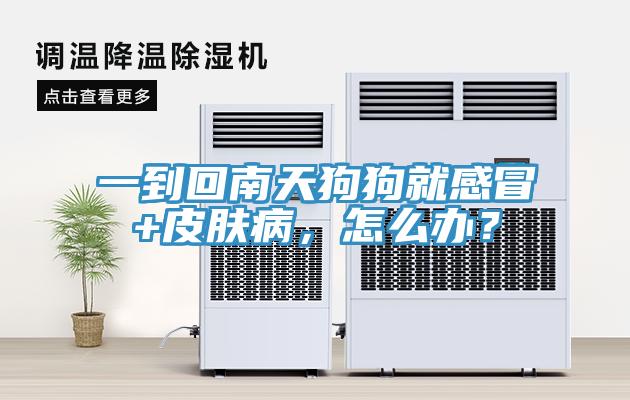 一到回南天狗狗就感冒+皮膚病，怎么辦？