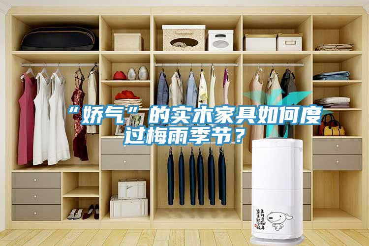 “嬌氣”的實木家具如何度過梅雨季節(jié)？