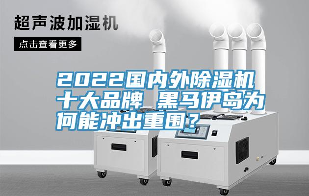 2022國內(nèi)外除濕機(jī)十大品牌 黑馬伊島為何能沖出重圍？