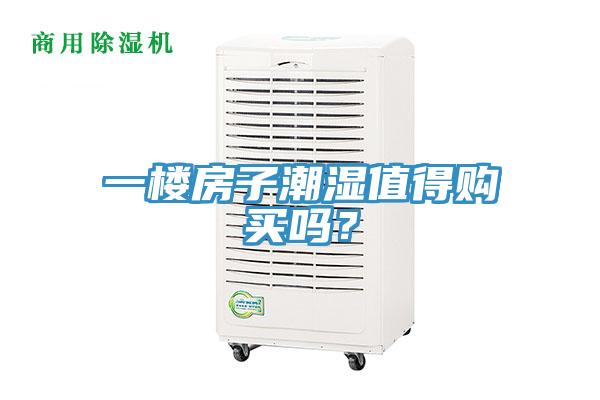 一樓房子潮濕值得購買嗎？