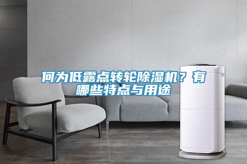 何為低露點(diǎn)轉(zhuǎn)輪除濕機(jī)？有哪些特點(diǎn)與用途