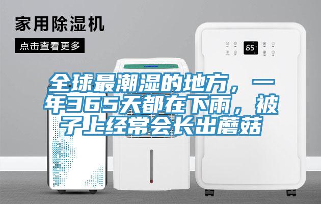 全球最潮濕的地方，一年365天都在下雨，被子上經(jīng)常會(huì)長(zhǎng)出蘑菇