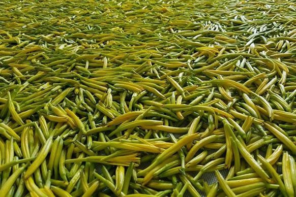 無硫金針菜烘干如何保持品相？不發(fā)黑？_除濕機廠家