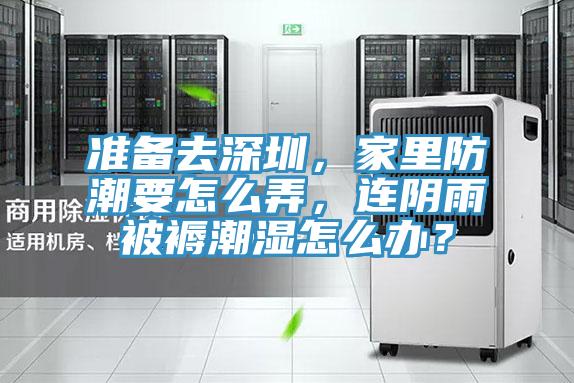 準(zhǔn)備去深圳，家里防潮要怎么弄，連陰雨被褥潮濕怎么辦？