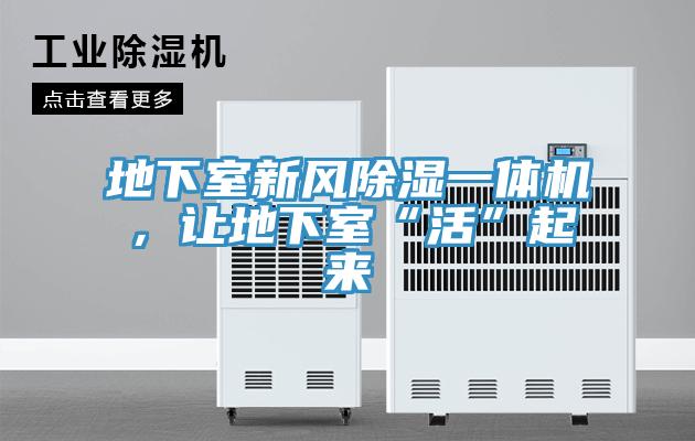 地下室新風(fēng)除濕一體機，讓地下室“活”起來