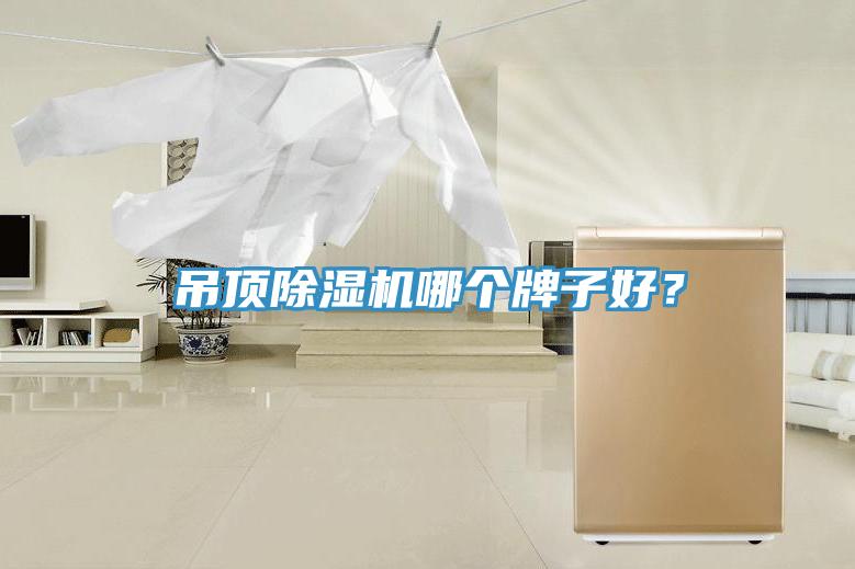 吊頂除濕機(jī)哪個(gè)牌子好？