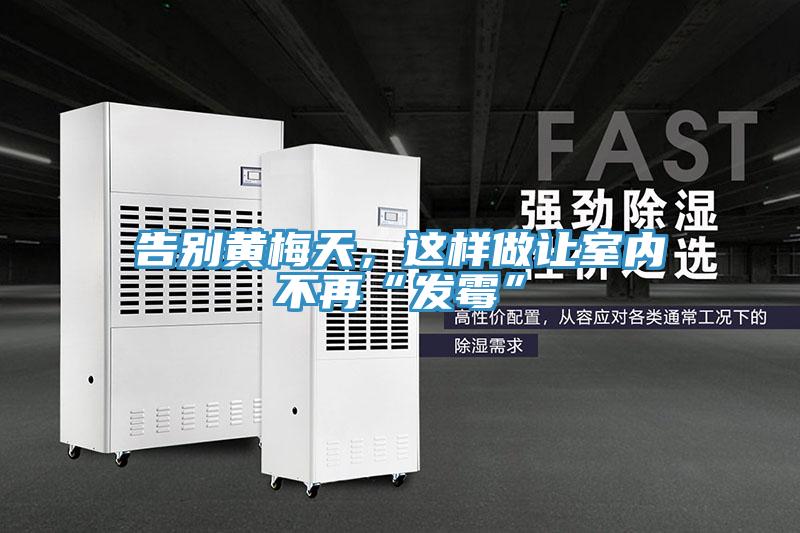 告別黃梅天，這樣做讓室內(nèi)不再“發(fā)霉”