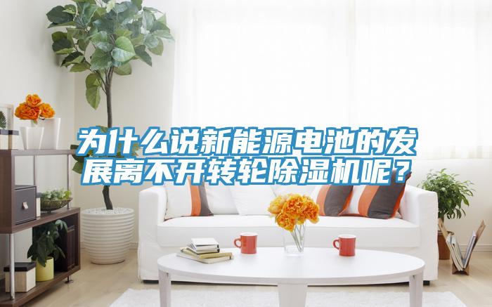 為什么說新能源電池的發(fā)展離不開轉(zhuǎn)輪除濕機(jī)呢？