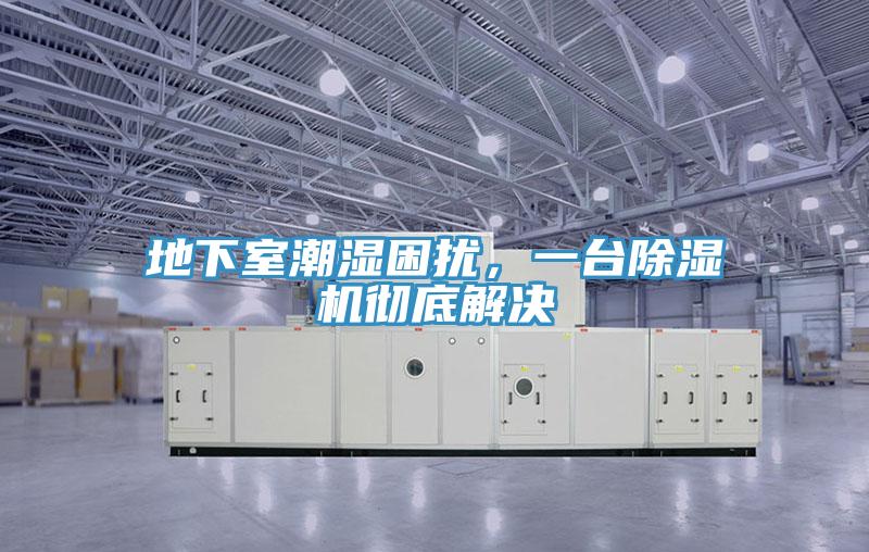 地下室潮濕困擾，一臺除濕機徹底解決