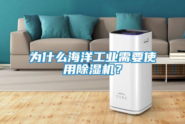 為什么海洋工業(yè)需要使用除濕機(jī)？