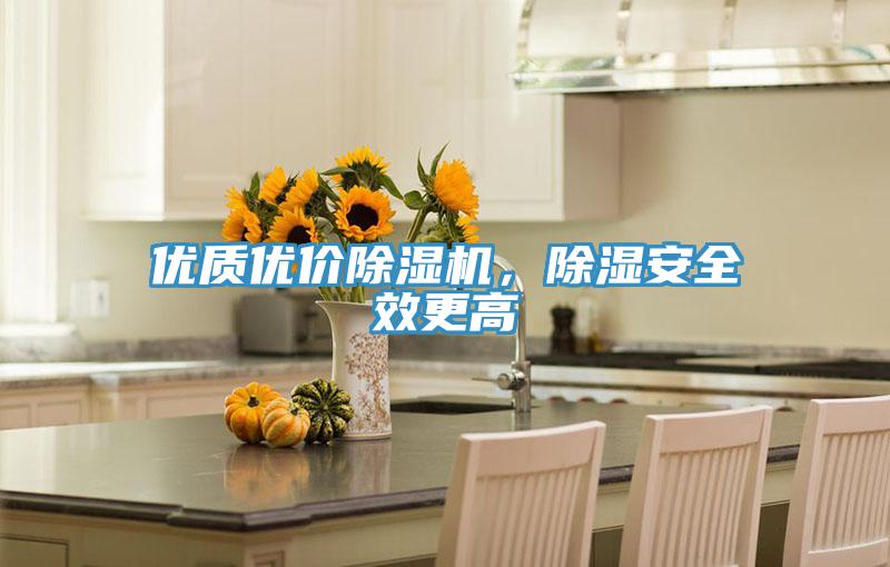 優(yōu)質(zhì)優(yōu)價(jià)除濕機(jī)，除濕安全效更高