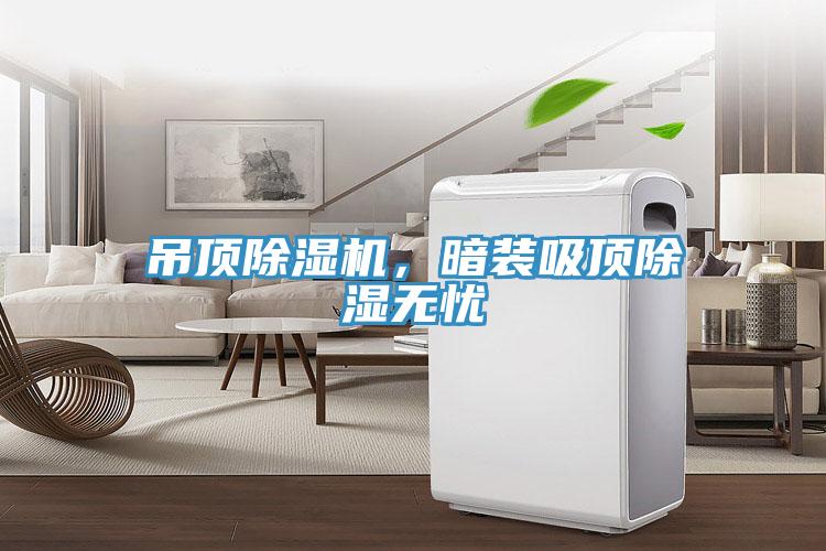 吊頂除濕機(jī)，暗裝吸頂除濕無憂