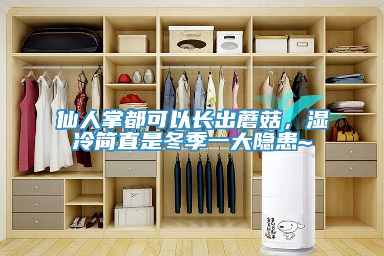 仙人掌都可以長(zhǎng)出蘑菇，濕冷簡(jiǎn)直是冬季一大隱患~