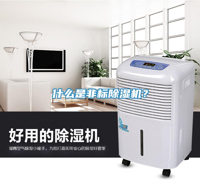 什么是非標(biāo)除濕機(jī)？