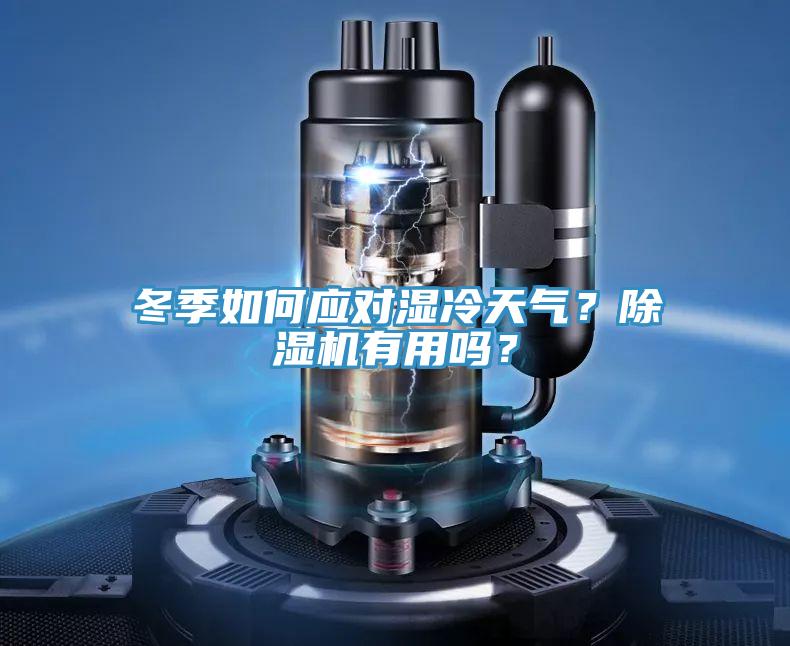 冬季如何應(yīng)對(duì)濕冷天氣？除濕機(jī)有用嗎？