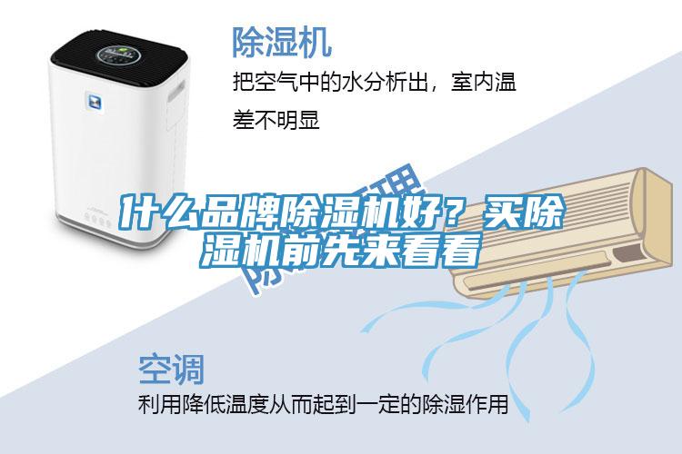 什么品牌除濕機好？買除濕機前先來看看