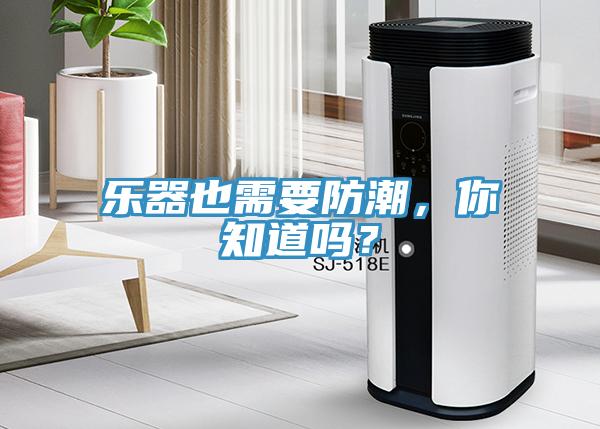 樂器也需要防潮，你知道嗎？