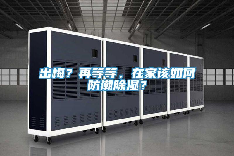 出梅？再等等，在家該如何防潮除濕？