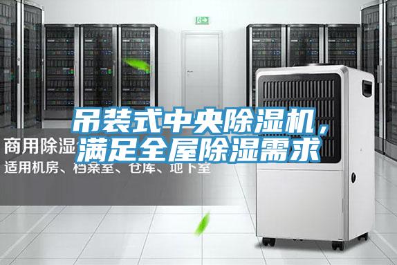 吊裝式中央除濕機(jī)，滿足全屋除濕需求