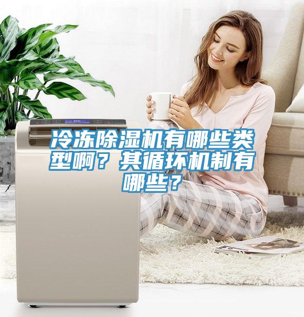 冷凍除濕機有哪些類型??？其循環(huán)機制有哪些？