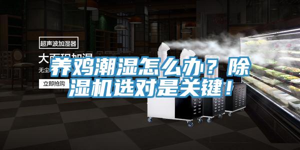 養(yǎng)雞潮濕怎么辦？除濕機選對是關(guān)鍵！
