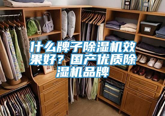 什么牌子除濕機(jī)效果好？國(guó)產(chǎn)優(yōu)質(zhì)除濕機(jī)品牌