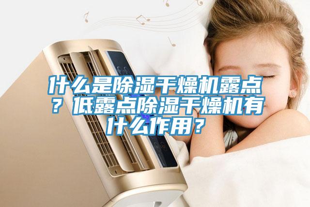 什么是除濕干燥機(jī)露點(diǎn)？低露點(diǎn)除濕干燥機(jī)有什么作用？