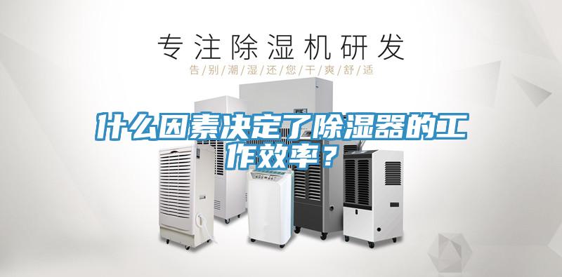 什么因素決定了除濕器的工作效率？