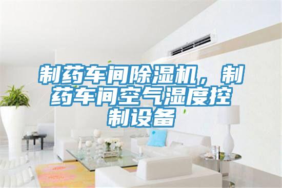 制藥車間除濕機(jī)，制藥車間空氣濕度控制設(shè)備