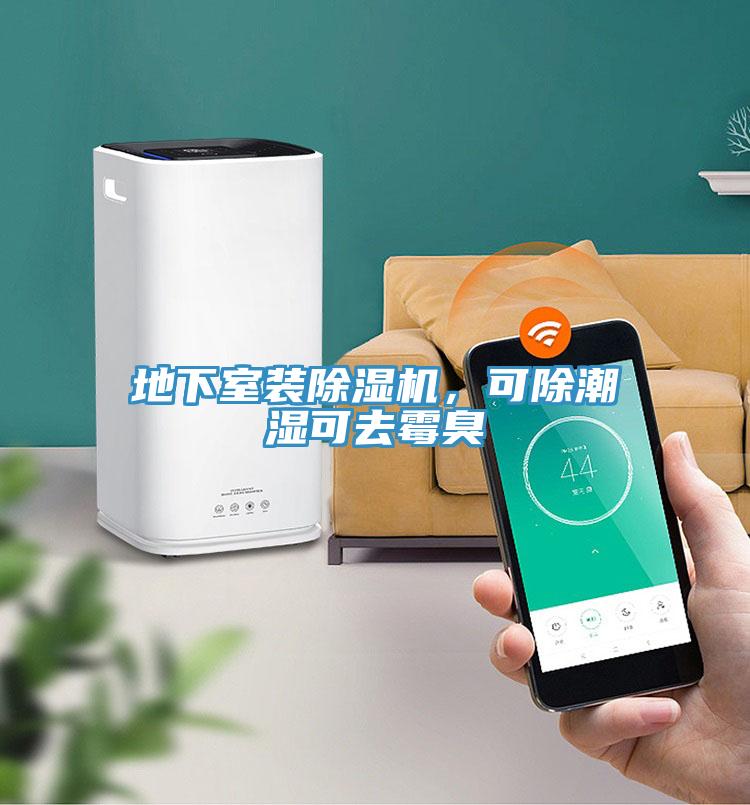 地下室裝除濕機(jī)，可除潮濕可去霉臭