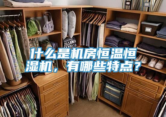 什么是機房恒溫恒濕機，有哪些特點？
