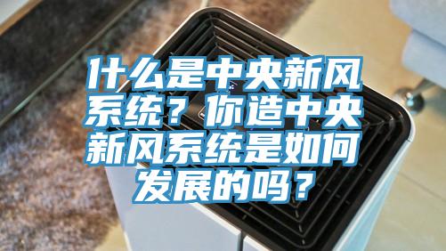什么是中央新風(fēng)系統(tǒng)？你造中央新風(fēng)系統(tǒng)是如何發(fā)展的嗎？