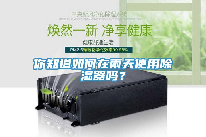 你知道如何在雨天使用除濕器嗎？